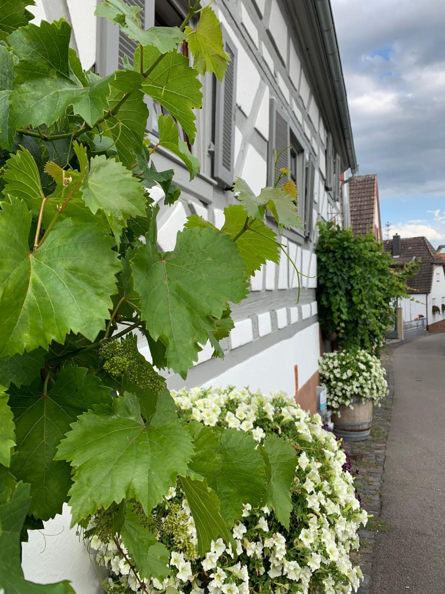 Ferienwohnung Sambachhaus Gleiszellen Gleishorbach Bagian luar foto