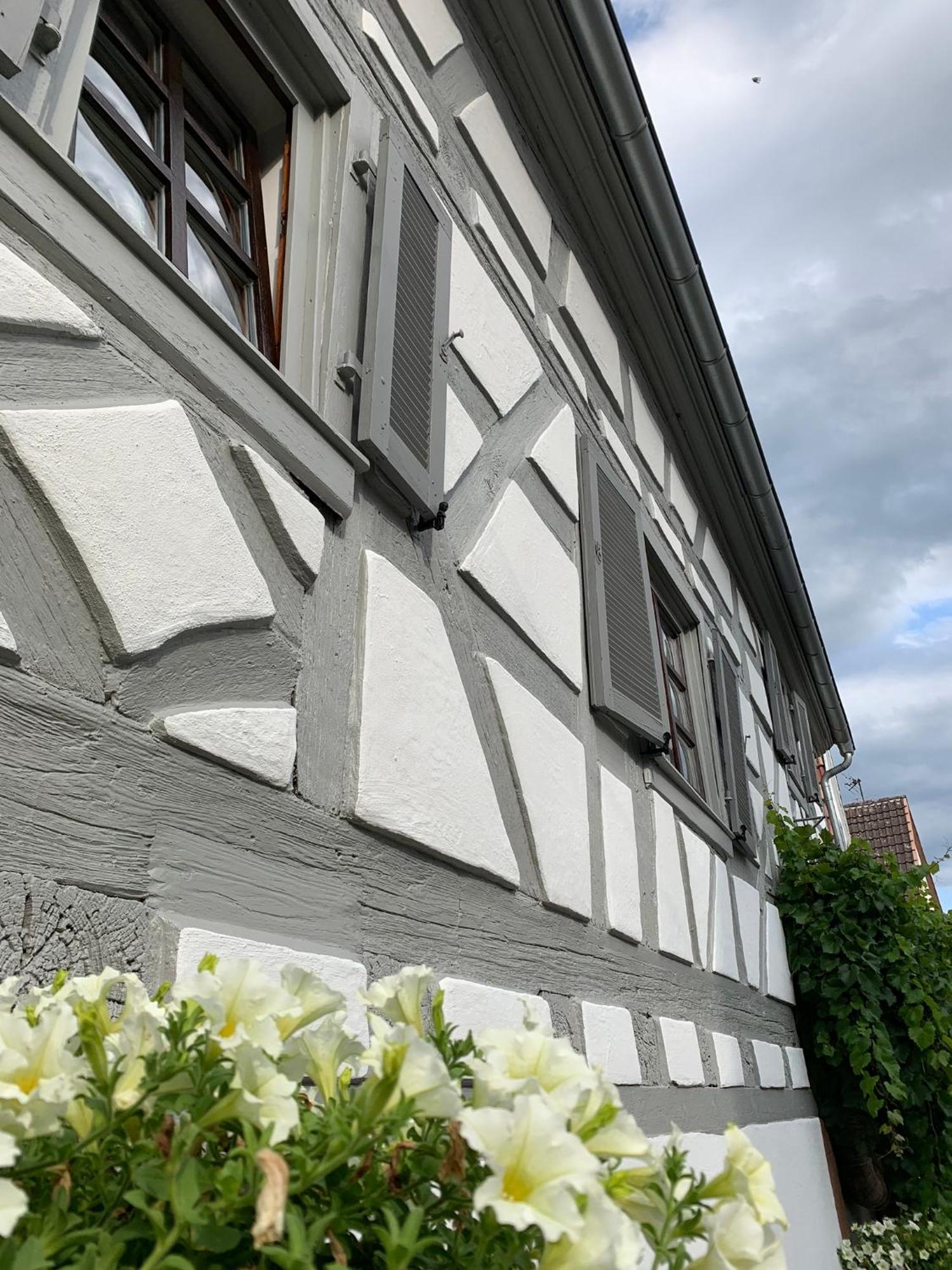 Ferienwohnung Sambachhaus Gleiszellen Gleishorbach Bagian luar foto