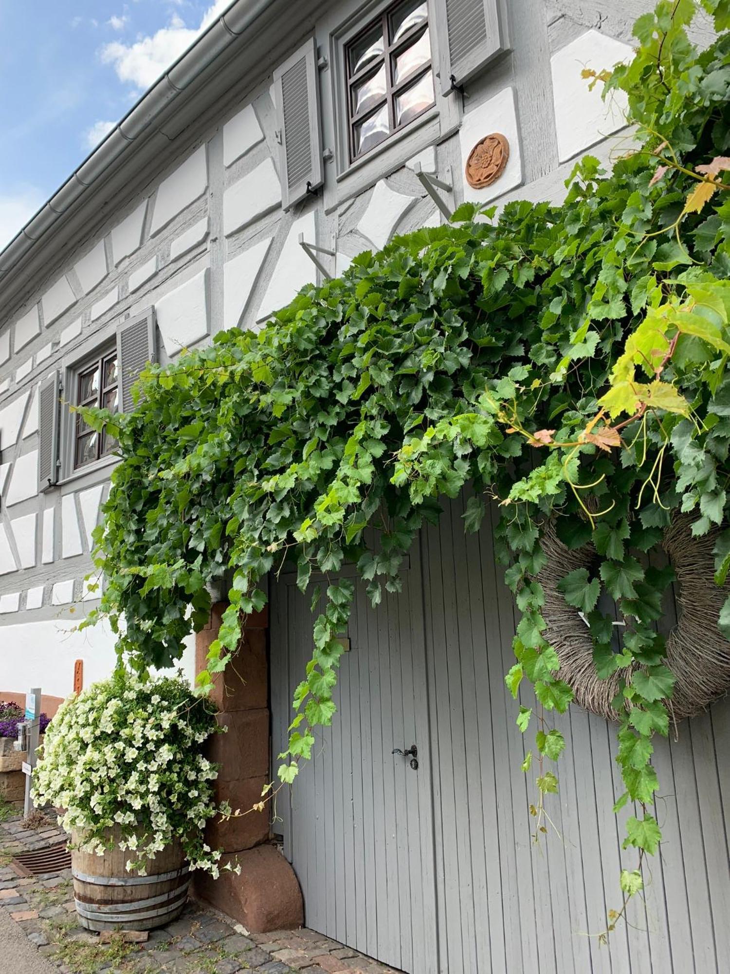Ferienwohnung Sambachhaus Gleiszellen Gleishorbach Bagian luar foto